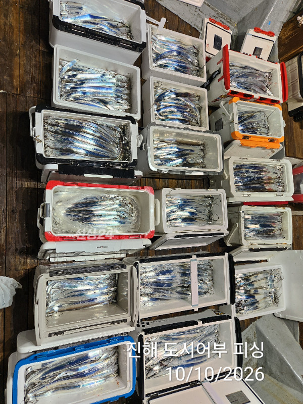 KakaoTalk_20261010_043600356_06.jpg