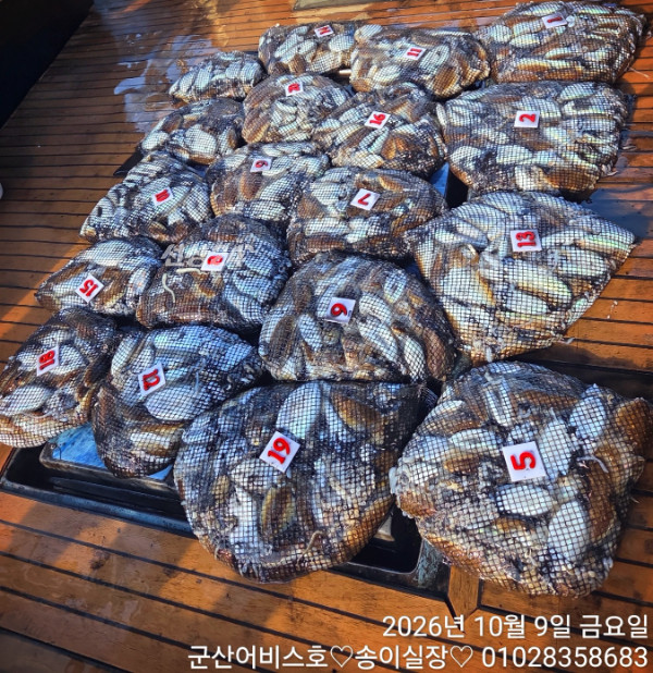 1000031564.jpg