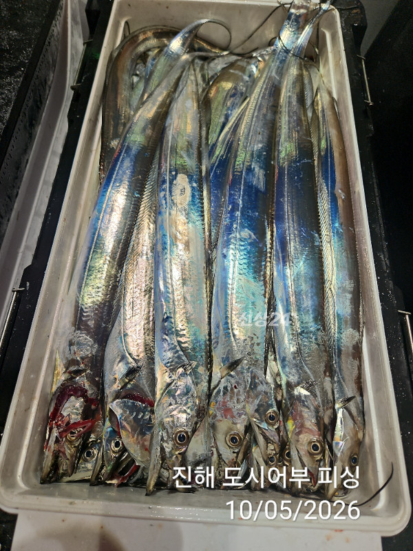 KakaoTalk_20261005_051530639_17.jpg