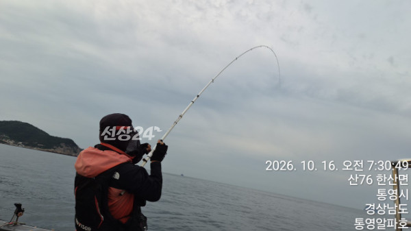 62163.jpg