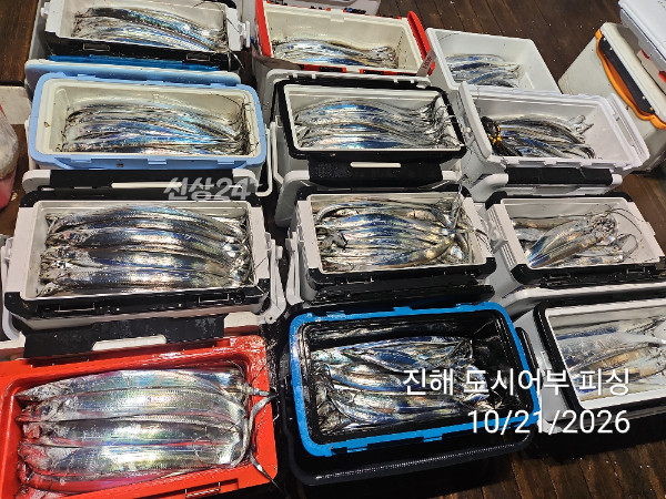KakaoTalk_20261021_040550071_16.jpg