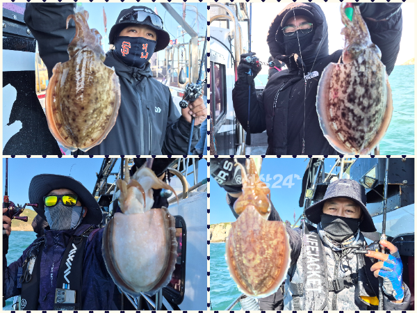 collage1.png