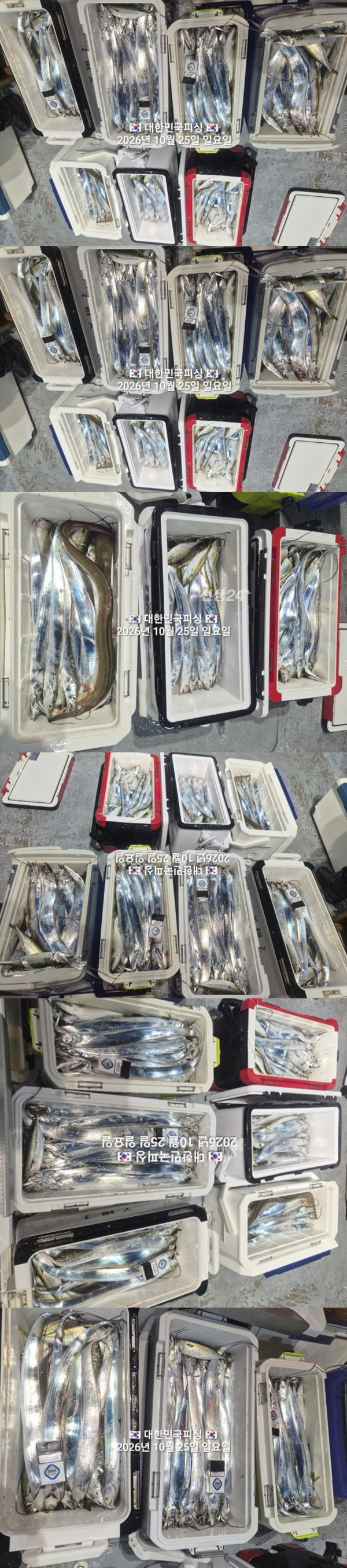 갈치2.jpg