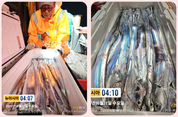 KakaoTalk_20261021_125458834_06-tile.jpg