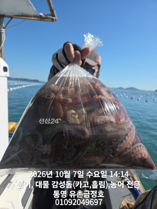 1000062021.jpg