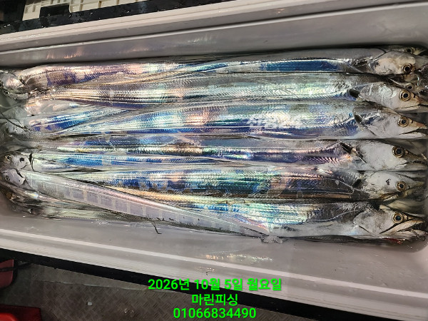 KakaoTalk_20261005_132543972_22.jpg