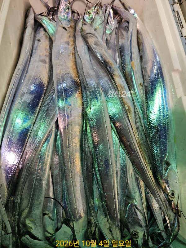 1C109035-AA99-4D14-9819-F17FEB5C9812.jpeg