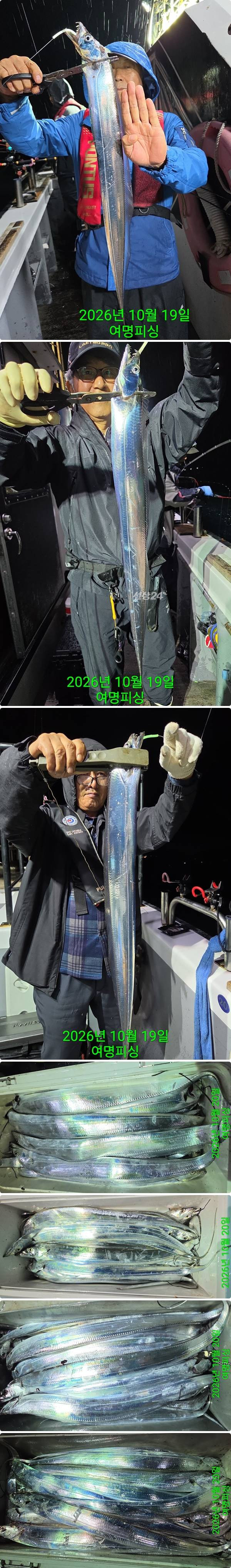 20일갈치중.jpg