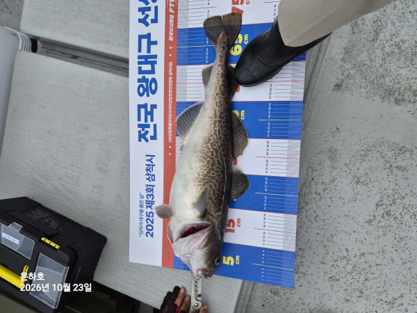 KakaoTalk_20261023_144726165_16.jpg