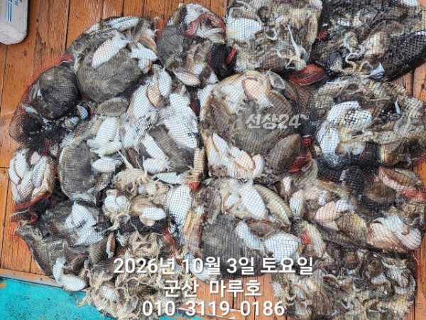KakaoTalk_20261003_152748936_01.jpg