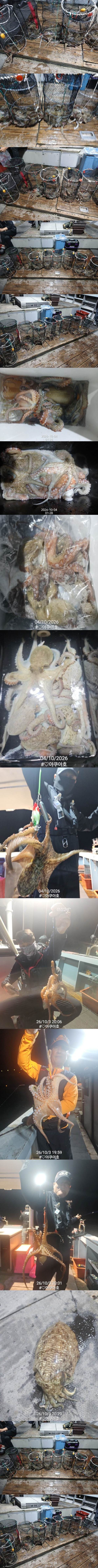 1791064310692-down.jpg