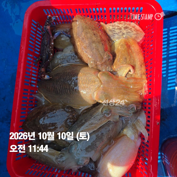 KakaoTalk_20261010_132841901_04.jpg