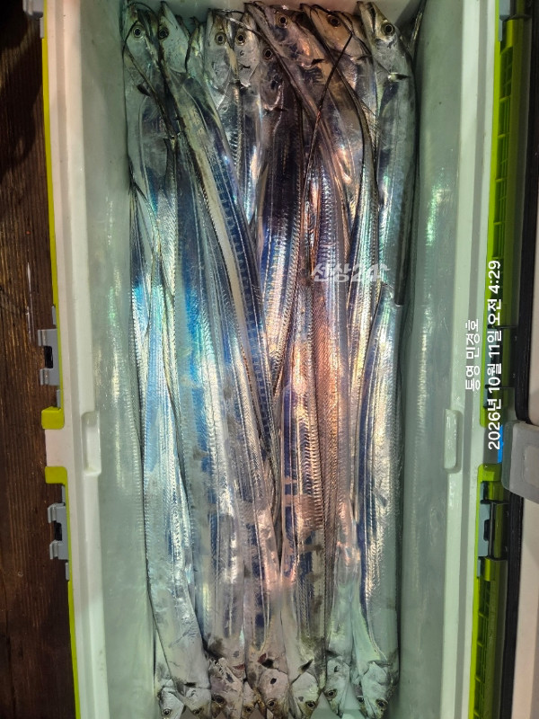 E36A4ACF-2E25-40B0-9A7D-7DD43E743CAA.jpeg