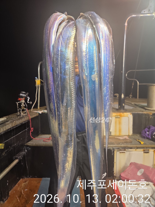 1000049340.jpg