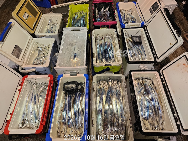 5415AABC-FF18-43BE-BDCA-BC7F1BC353AD.jpeg