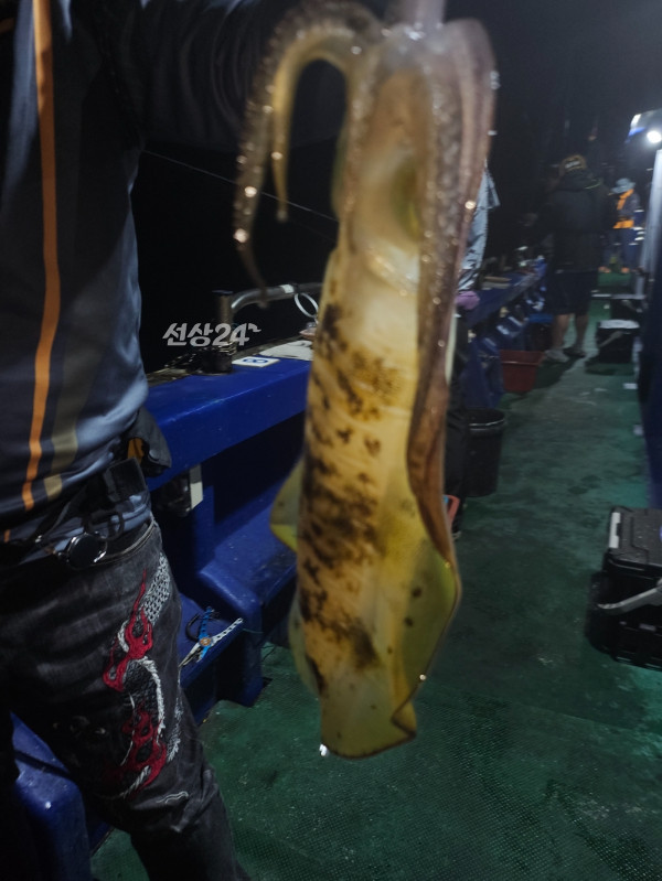 KakaoTalk_20261003_133524860_23.jpg