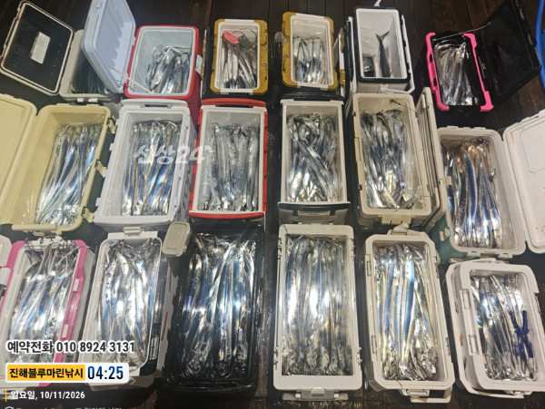 20261011_042546_Japan_제목-진해블루마린낚시_글꼴-예약전화 010 8924 3131.jpg