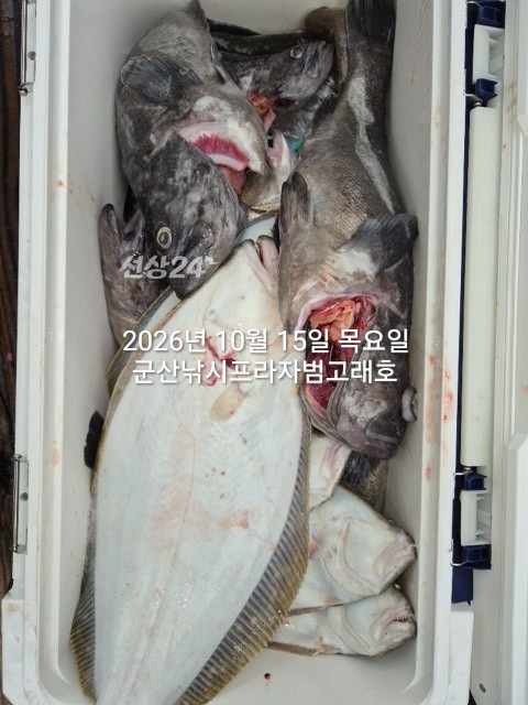 KakaoTalk_20261015_173103111_09.jpg