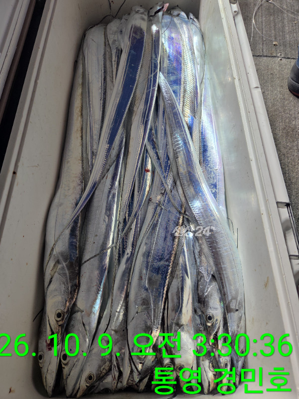 1791496290466.jpg