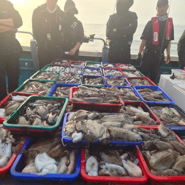 70056.jpg