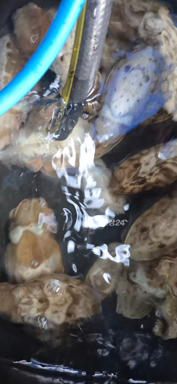 1792397054168.jpg