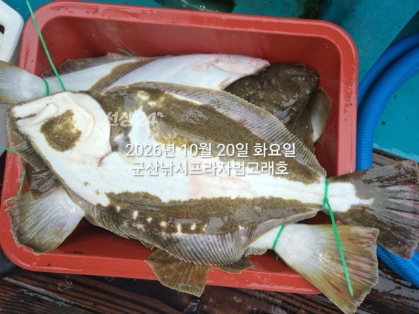 KakaoTalk_20261020_152311870_18.jpg