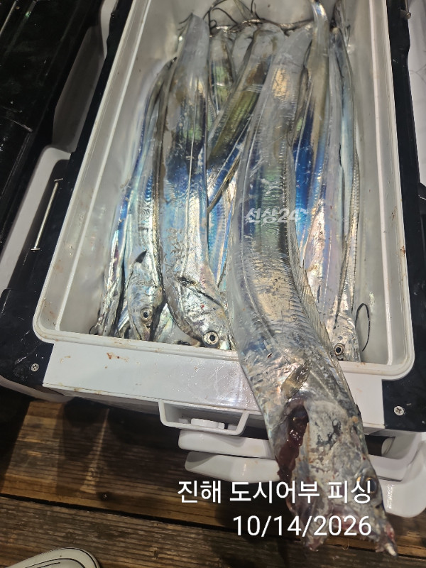 KakaoTalk_20261014_043827989_18.jpg