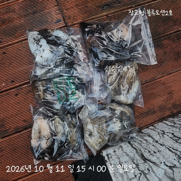1000018671.jpg