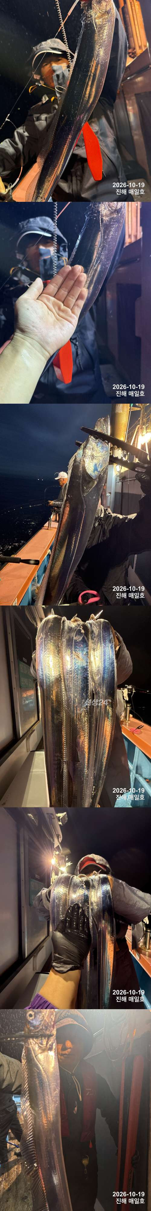 갈치1.jpg