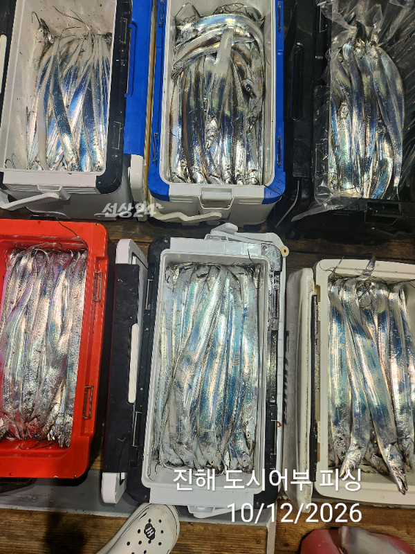 KakaoTalk_20261012_044857632_12.jpg