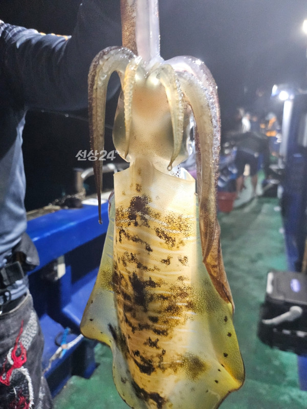 KakaoTalk_20261003_133524860_20.jpg