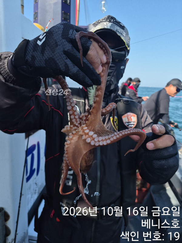 KakaoTalk_20261016_192837708_12.jpg