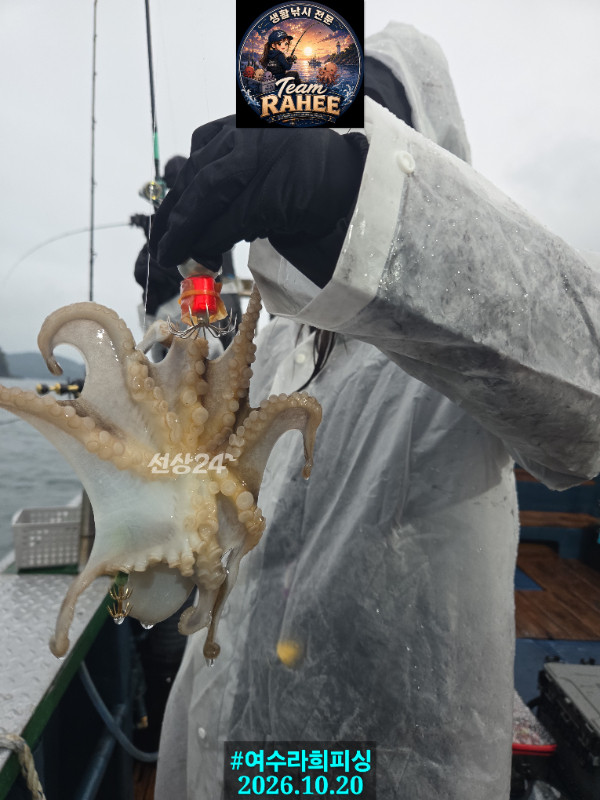1000023867.jpg