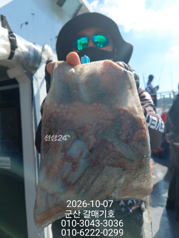 11414.jpg