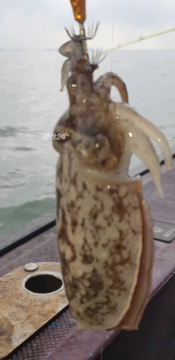 Screenshot_20261015_115221_Video Player.jpg