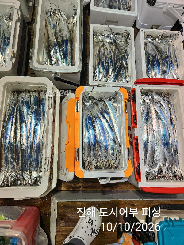 KakaoTalk_20261010_043600356_12.jpg