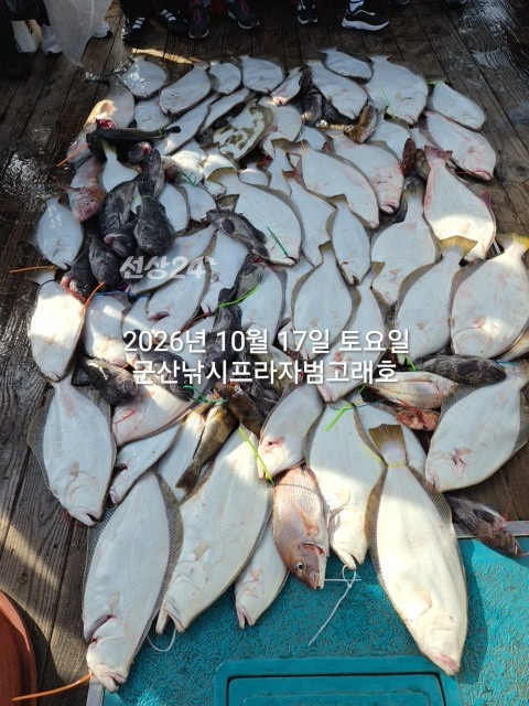 KakaoTalk_20261017_163250775_12.jpg