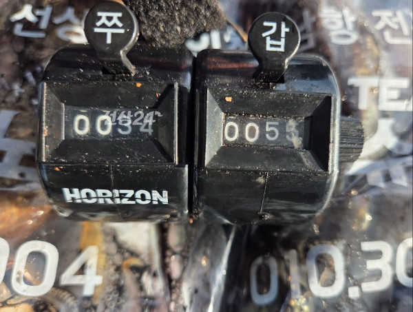 24725.jpg