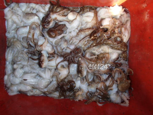 114.JPG