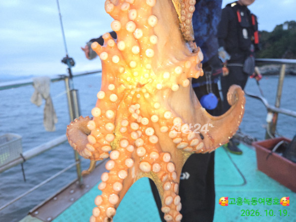 쎄븐피싱클럽(선상 버스출조전문)_사진_20261020_13.jpg