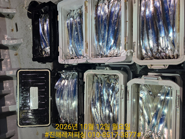 1000107477.jpg