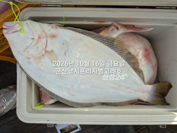 KakaoTalk_20261016_163731307_02.jpg