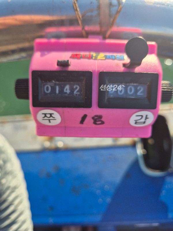 20261007_164504.jpg