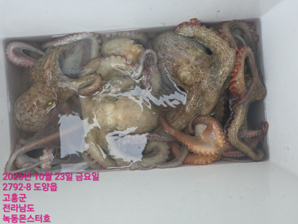KakaoTalk_20261024_114127414_03.jpg