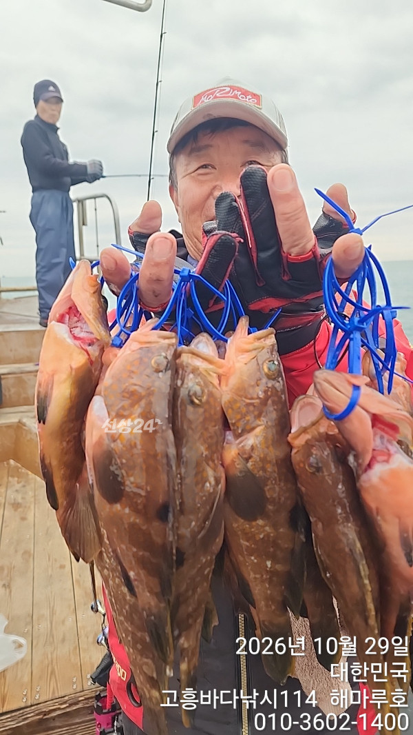 TimePhoto_20261029_142103.jpg