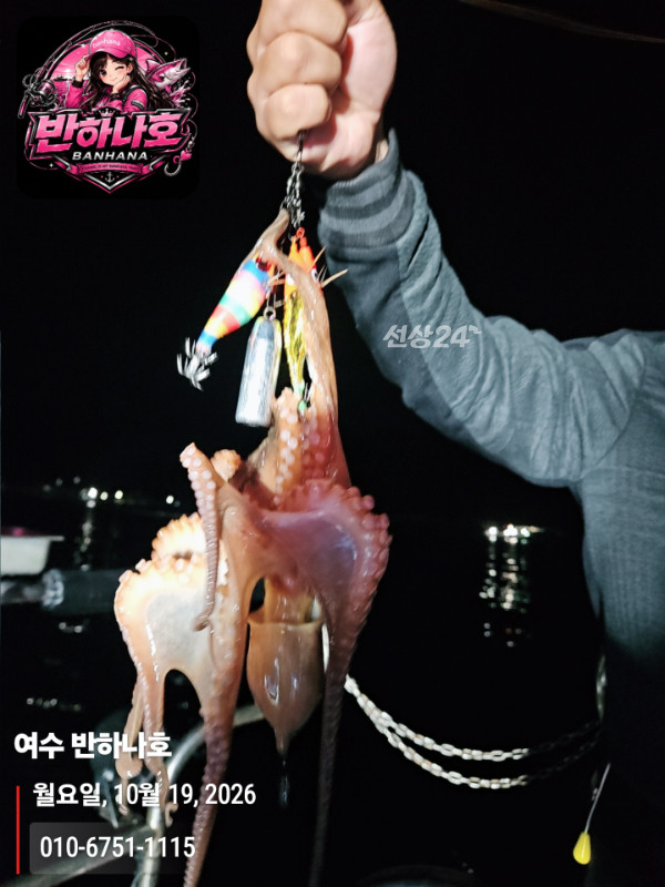 20261019_055039_제목-여수 반하나호_010-6751-1115.jpg