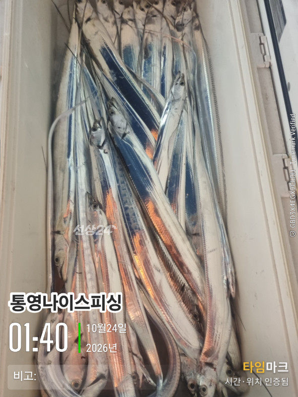 20261024_014010_글꼴-통영나이스피싱.jpg