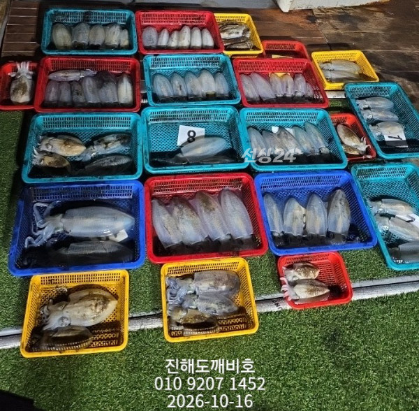 9579.jpg