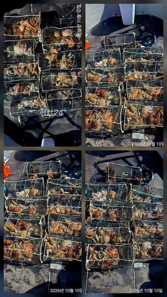 1000161019.jpg
