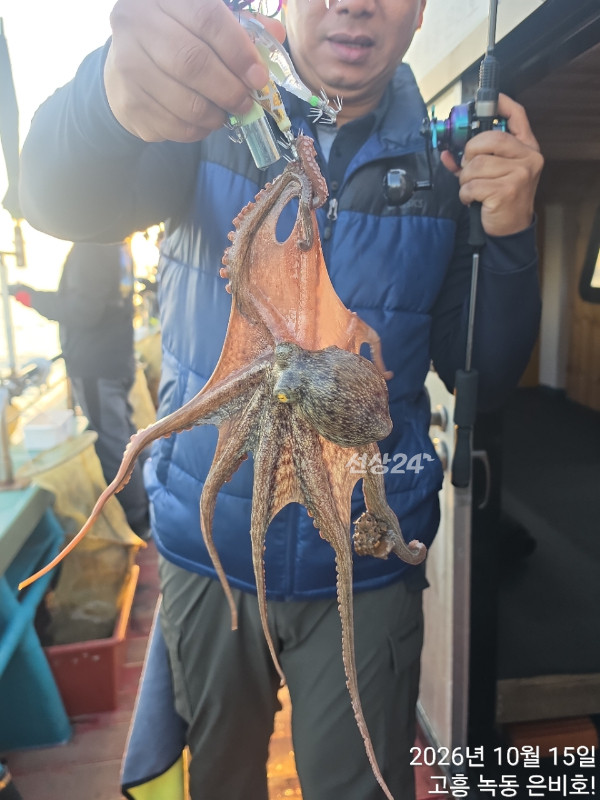 고흥 녹동 은비호!(두족류,돌돔,외수질)_사진_20261017_2.jpg